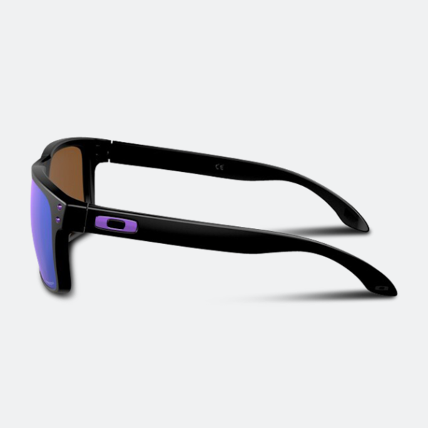 Oakley Holbrook Sunglasses